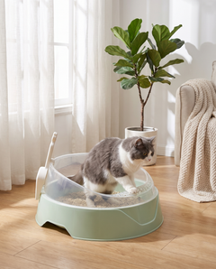 Grey and white cat stepping into the litter box in a bright living room